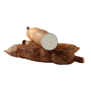 Yuca